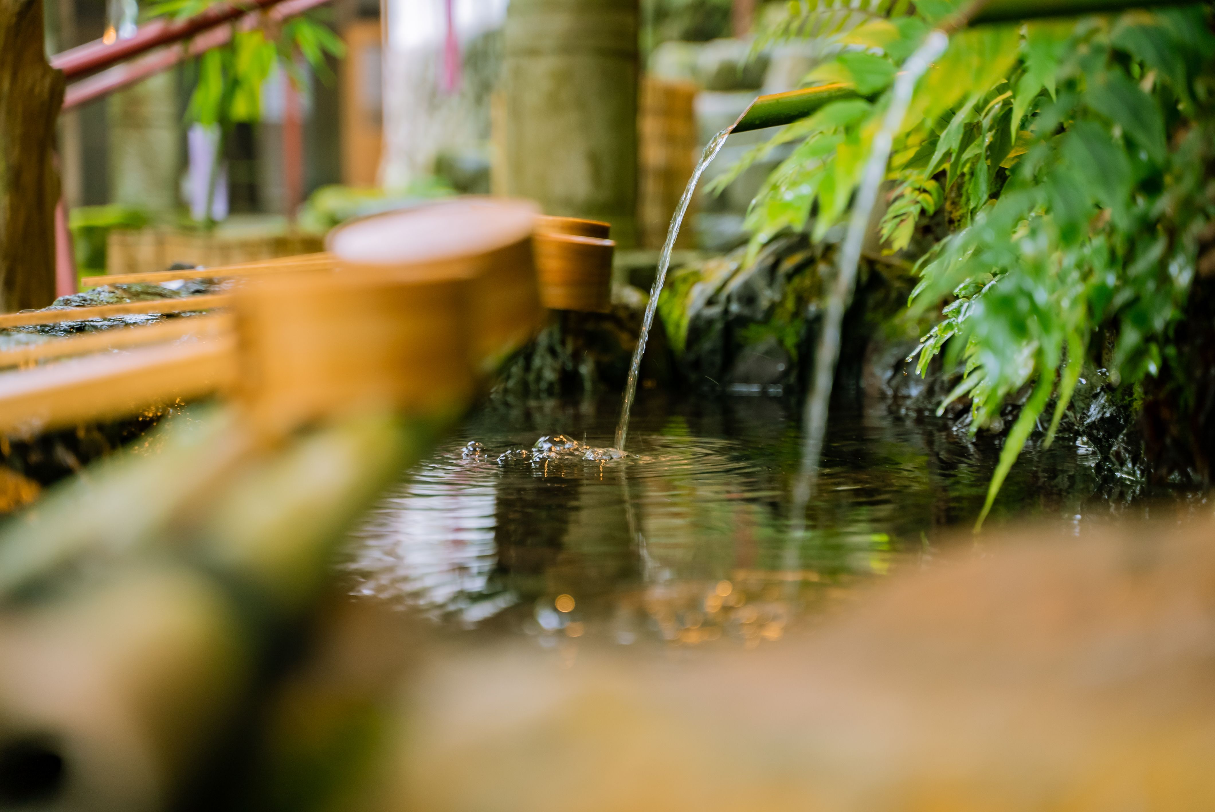 A bamboo water feature with gently flowing water in a tranquil garden setting.