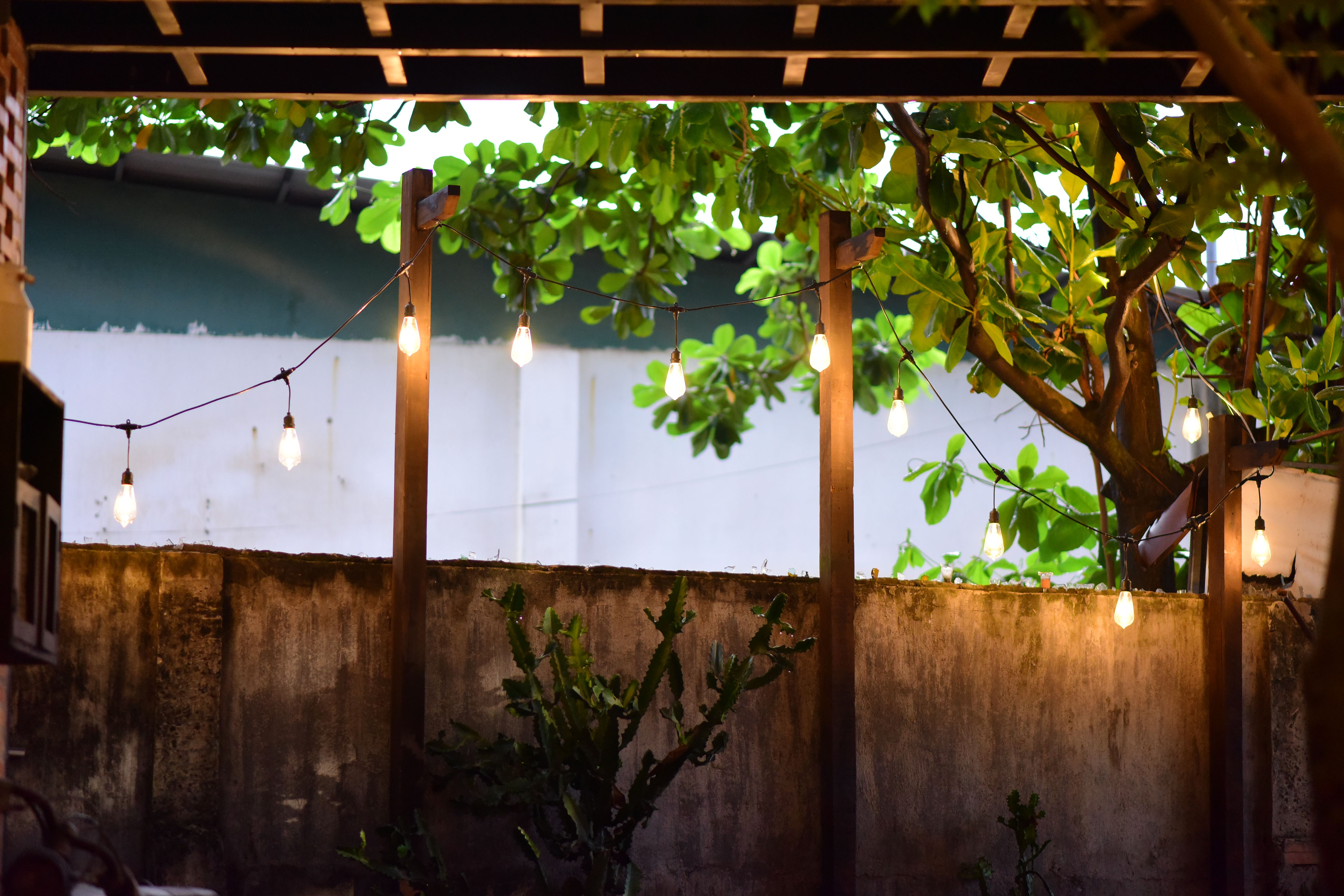 A cozy outdoor patio with glowing string lights and lush greenery, creating a tranquil evening garden atmosphere.