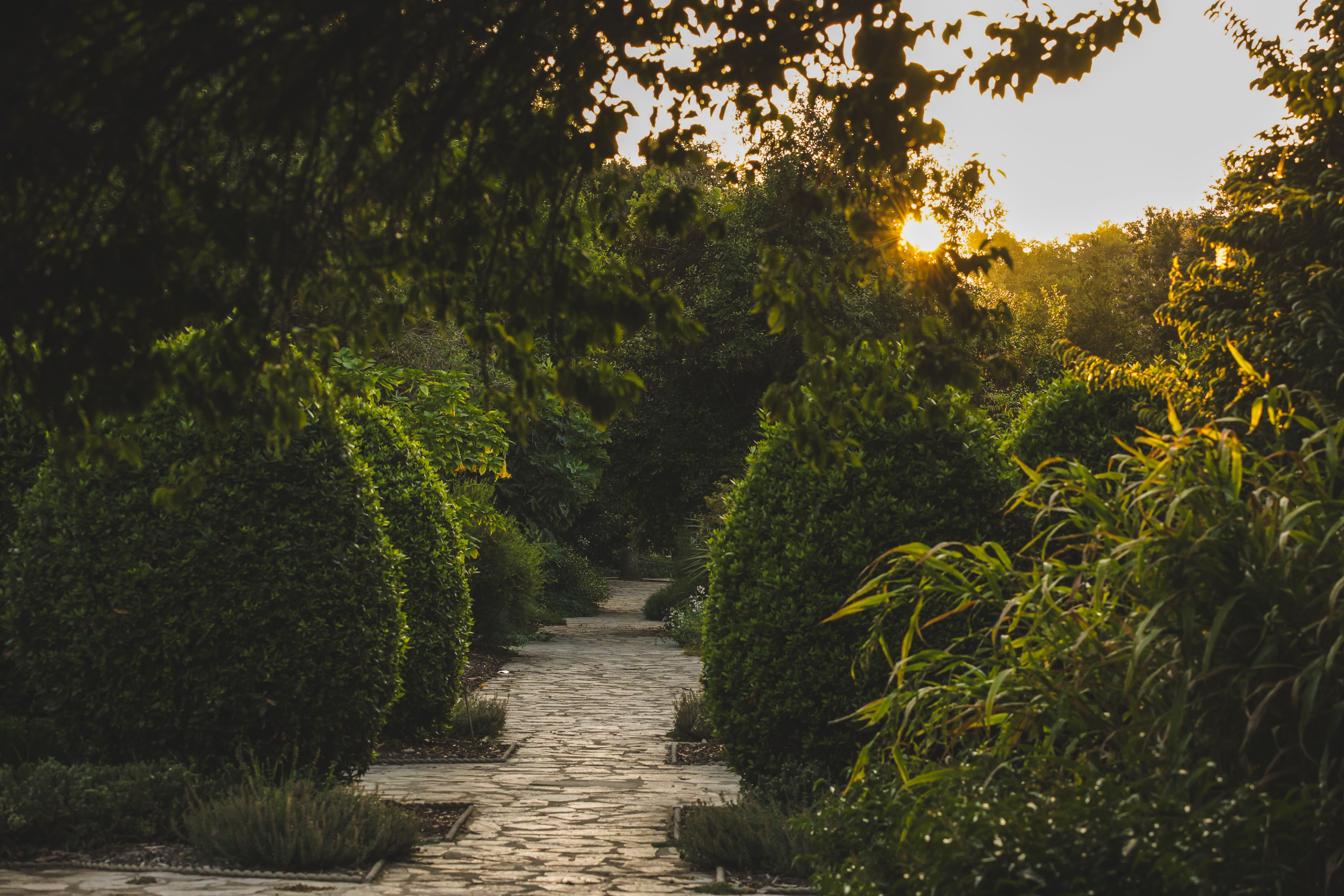 A stone pathway winding through a lush garden at sunset, inviting a slow and mindful walk.